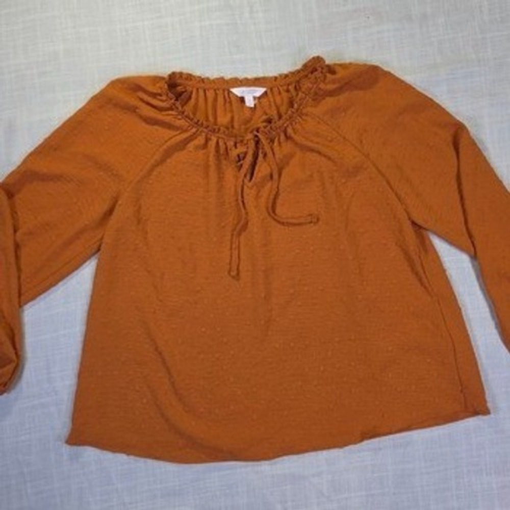 LC Lauren Conrad Burnt Orange Swiss Dot Ruffle Tie Neck Blouse Mens Medium